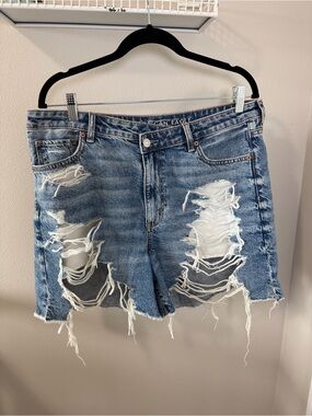 American Eagle Outfitters Ripped Light Blue Denim Shorts